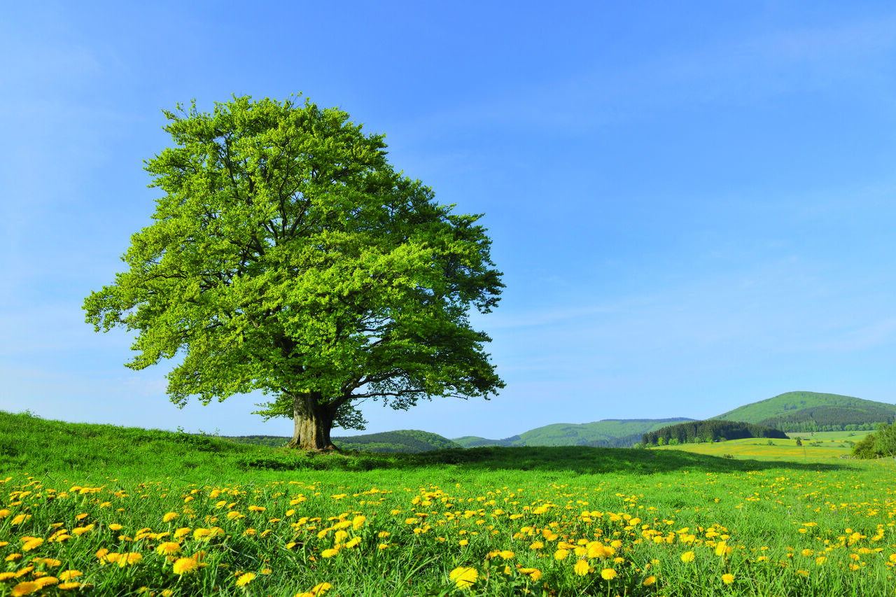 Ariston Group Head Quarter